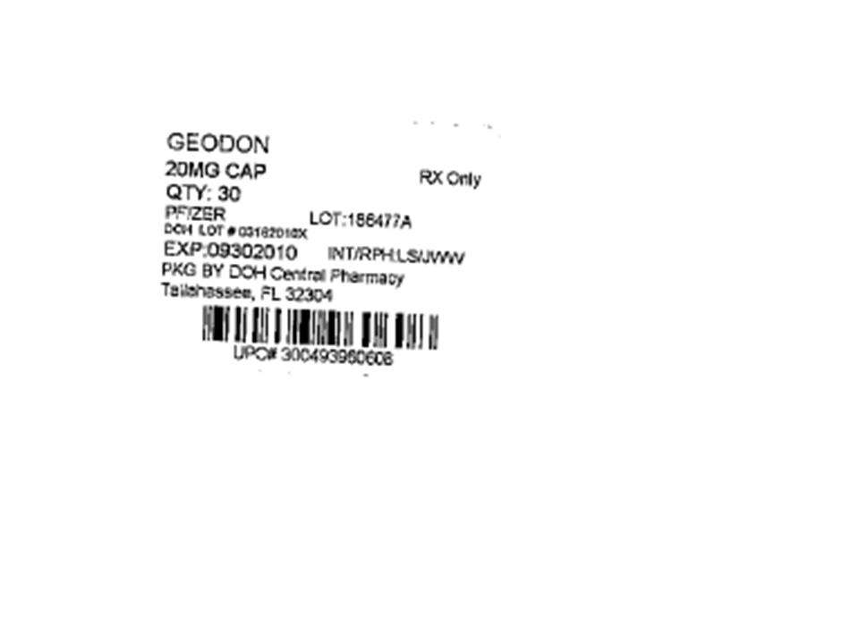 Geodon